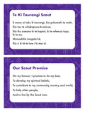 CARD - OUR SCOUT PROMISE