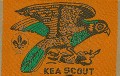 KEA SCOUT BLANKET PATCH
