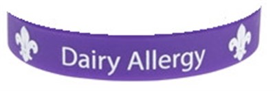 WRISTBAND - DAIRY ALLERGY