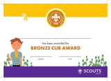 BRONZE, SILVER, GOLD AWARD - BADGE, CERTIFICATE - SECTIONS