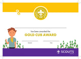 BRONZE, SILVER, GOLD AWARD - BADGE, CERTIFICATE - SECTIONS