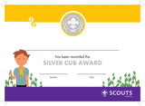 BRONZE, SILVER, GOLD AWARD - BADGE, CERTIFICATE - SECTIONS