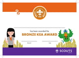 BRONZE, SILVER, GOLD AWARD - BADGE, CERTIFICATE - SECTIONS