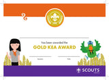 BRONZE, SILVER, GOLD AWARD - BADGE, CERTIFICATE - SECTIONS
