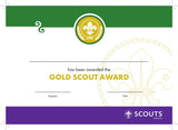BRONZE, SILVER, GOLD AWARD - BADGE, CERTIFICATE - SECTIONS