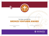 BRONZE, SILVER, GOLD AWARD - BADGE, CERTIFICATE - SECTIONS