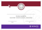 BRONZE, SILVER, GOLD AWARD - BADGE, CERTIFICATE - SECTIONS