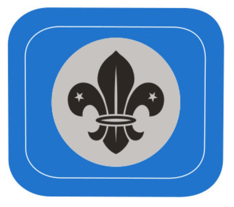 CHIEF SCOUT COMMENDATION BADGE - RESTRICTED