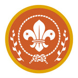 BRONZE, SILVER, GOLD AWARD - BADGE, CERTIFICATE - SECTIONS