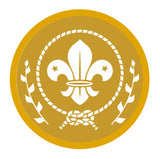 BRONZE, SILVER, GOLD AWARD - BADGE, CERTIFICATE - SECTIONS