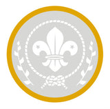 BRONZE, SILVER, GOLD AWARD - BADGE, CERTIFICATE - SECTIONS