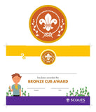 BRONZE, SILVER, GOLD AWARD - BADGE, CERTIFICATE - SECTIONS