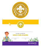 BRONZE, SILVER, GOLD AWARD - BADGE, CERTIFICATE - SECTIONS