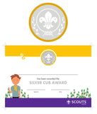 BRONZE, SILVER, GOLD AWARD - BADGE, CERTIFICATE - SECTIONS