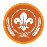BRONZE, SILVER, GOLD AWARD - BADGE, CERTIFICATE - SECTIONS