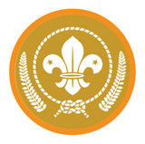 BRONZE, SILVER, GOLD AWARD - BADGE, CERTIFICATE - SECTIONS
