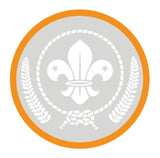 BRONZE, SILVER, GOLD AWARD - BADGE, CERTIFICATE - SECTIONS
