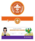 BRONZE, SILVER, GOLD AWARD - BADGE, CERTIFICATE - SECTIONS