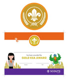 BRONZE, SILVER, GOLD AWARD - BADGE, CERTIFICATE - SECTIONS