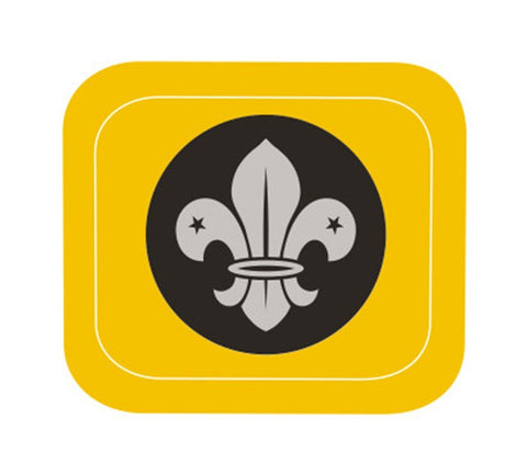 NATIONAL COMMISSIONER COMMENDATION - COVID BADGE - RESTRICTED