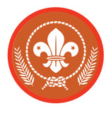 BRONZE, SILVER, GOLD AWARD - BADGE, CERTIFICATE - SECTIONS