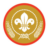 BRONZE, SILVER, GOLD AWARD - BADGE, CERTIFICATE - SECTIONS
