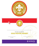 BRONZE, SILVER, GOLD AWARD - BADGE, CERTIFICATE - SECTIONS