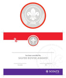 BRONZE, SILVER, GOLD AWARD - BADGE, CERTIFICATE - SECTIONS