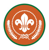 BRONZE, SILVER, GOLD AWARD - BADGE, CERTIFICATE - SECTIONS