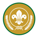 BRONZE, SILVER, GOLD AWARD - BADGE, CERTIFICATE - SECTIONS