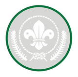 BRONZE, SILVER, GOLD AWARD - BADGE, CERTIFICATE - SECTIONS