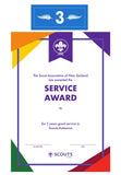 SERVICE AWARD - YEARS SERVICE - BADGE, CERTIFICATE, PIN