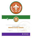 BRONZE, SILVER, GOLD AWARD - BADGE, CERTIFICATE - SECTIONS