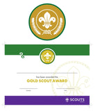 BRONZE, SILVER, GOLD AWARD - BADGE, CERTIFICATE - SECTIONS
