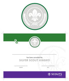 BRONZE, SILVER, GOLD AWARD - BADGE, CERTIFICATE - SECTIONS