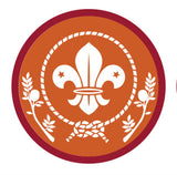 BRONZE, SILVER, GOLD AWARD - BADGE, CERTIFICATE - SECTIONS