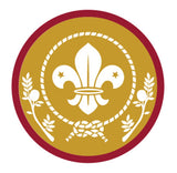 BRONZE, SILVER, GOLD AWARD - BADGE, CERTIFICATE - SECTIONS