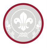 BRONZE, SILVER, GOLD AWARD - BADGE, CERTIFICATE - SECTIONS