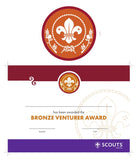 BRONZE, SILVER, GOLD AWARD - BADGE, CERTIFICATE - SECTIONS