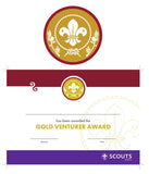 BRONZE, SILVER, GOLD AWARD - BADGE, CERTIFICATE - SECTIONS