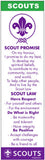 BOOKMARKS OR BLANKET PATCH - PROMISE AND LAW - SECTIONS