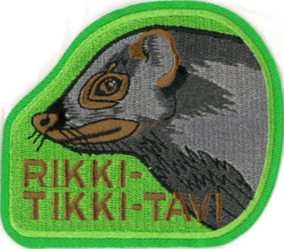 General Badges Page 9 Scouts Direct general-badges-page-9-scouts-direct
