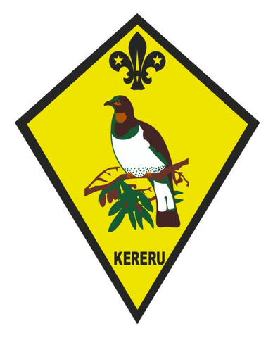 BLANKET PATCH - NATIVE BIRD, KERERU