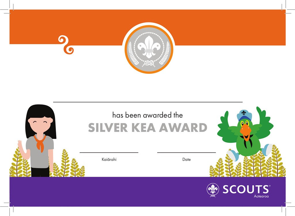 BRONZE, SILVER, GOLD AWARD BADGE, CERTIFICATE SECTIONS Scouts Direct