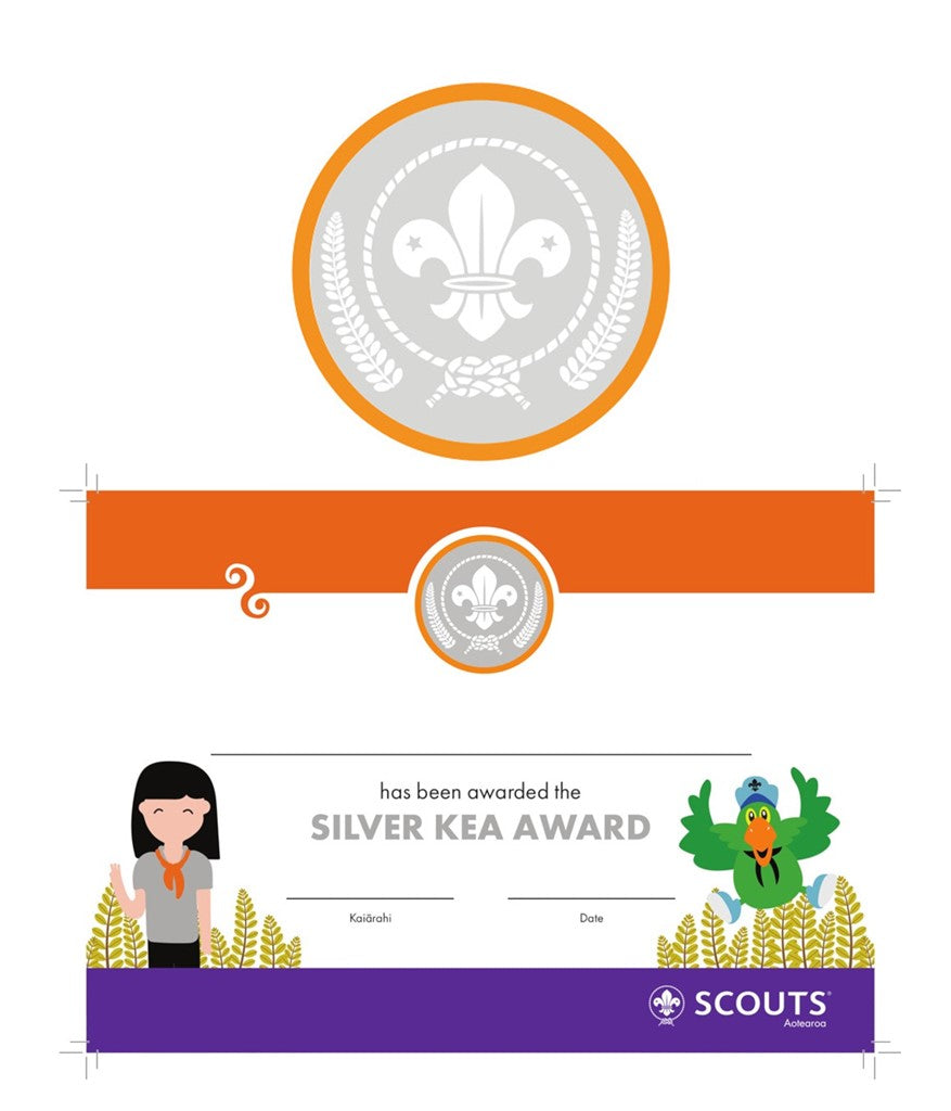 BRONZE, SILVER, GOLD AWARD BADGE, CERTIFICATE SECTIONS Scouts Direct