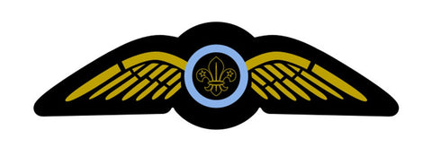 WINGS BADGE - RESTRICTED
