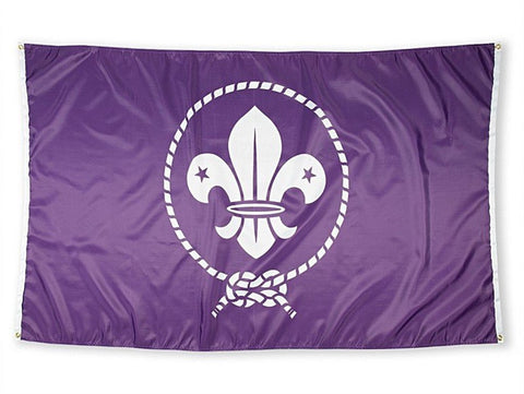 WORLD SCOUT FLAG